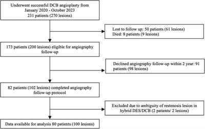 Factors influencing coronary artery target lesion revascularization after drug-coated balloon angioplasty